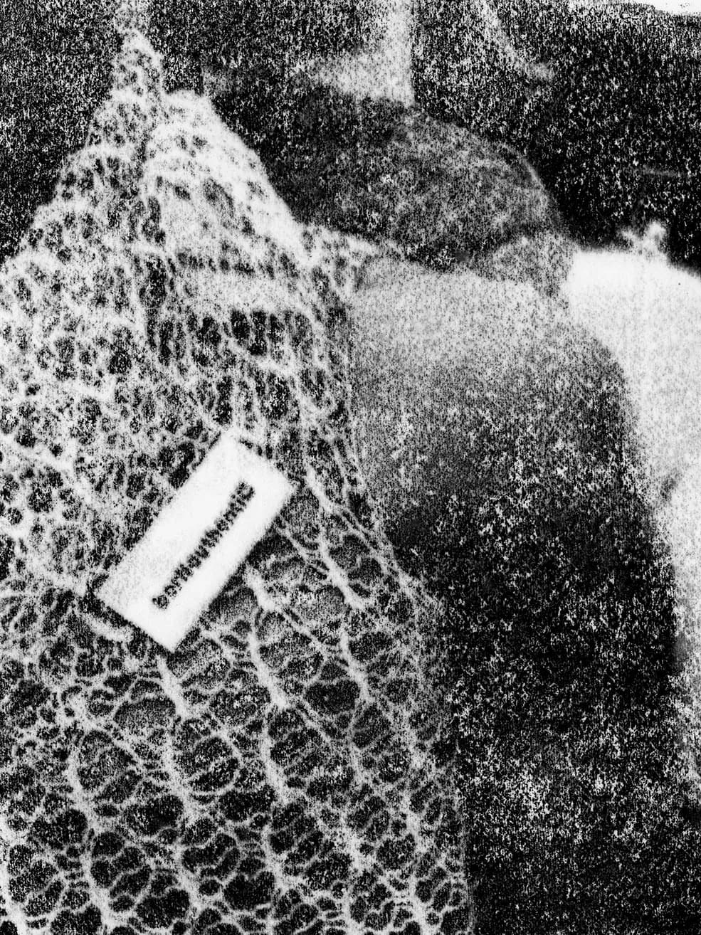 Extreme close crop of lace fabric and garment tag