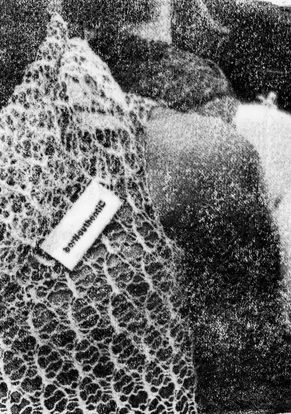 Extreme close crop of lace fabric and garment tag