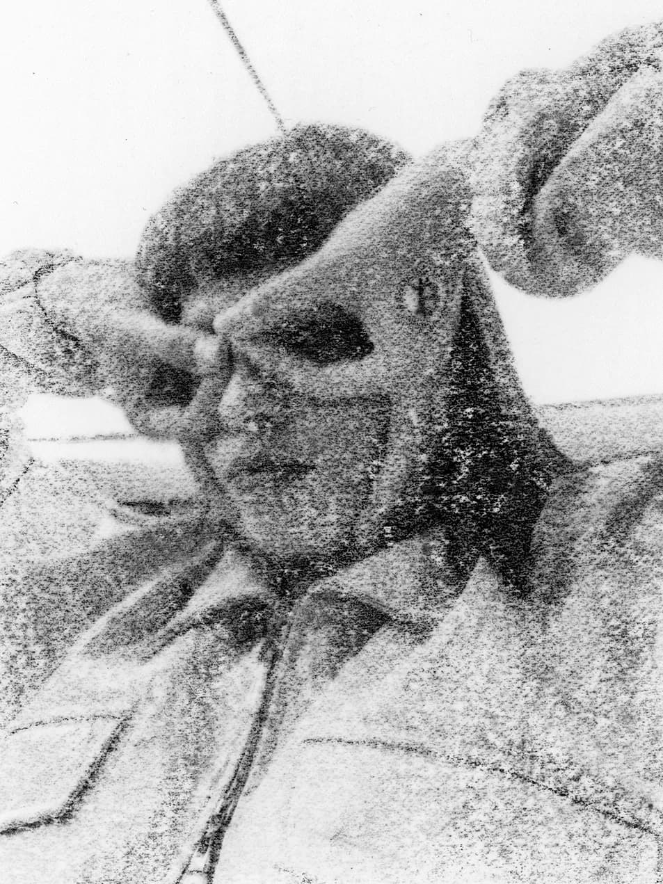 Grainy halftone portrait, distorted profile