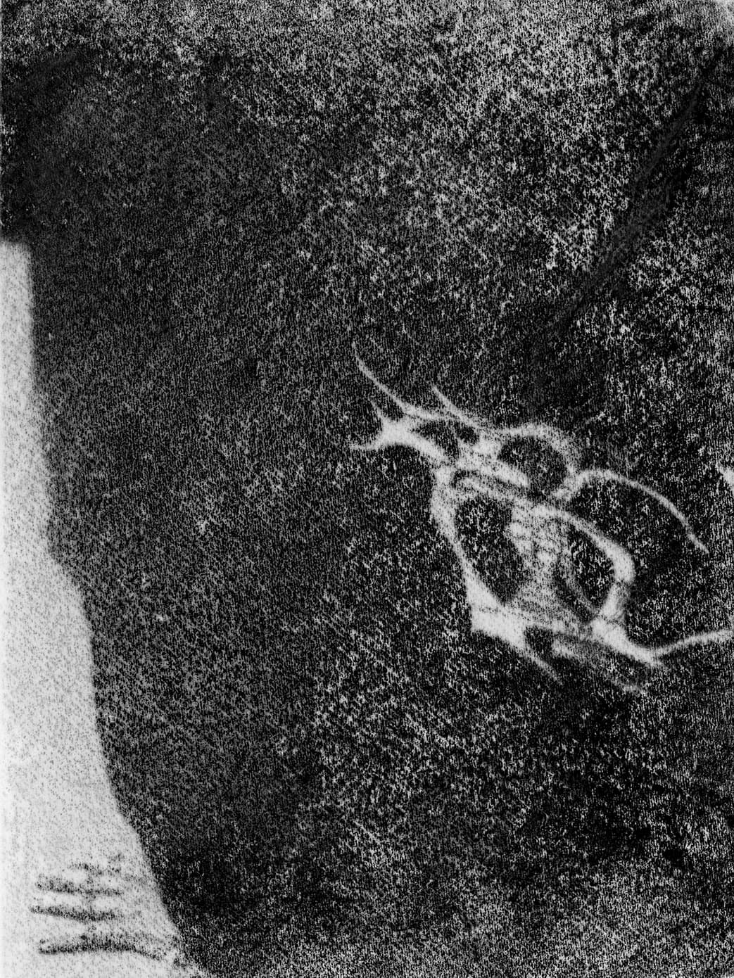 Abstract dark grain texture with faint highlight marks